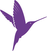 Kolibri Massagen